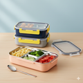 Stainless Steel Compartment Lunch Box | Leak-Resistant Bento Meal Container with Locking Lid